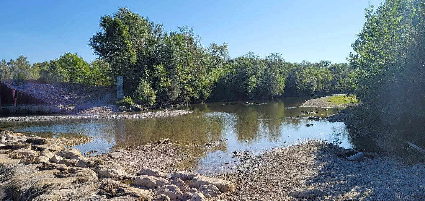 Vue d’une portion très basse de la rivière Drôme en été, avec un débit minimal, une rive caillouteuse au premier plan, et une végétation dense en arrière-plan.