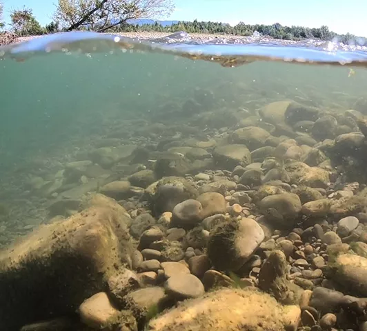 Vue en coupe mi-air mi-eau de la rivière Drôme : sous l’eau, des galets recouverts d’algues ; au-dessus, on distingue les berges et le ciel bleu.